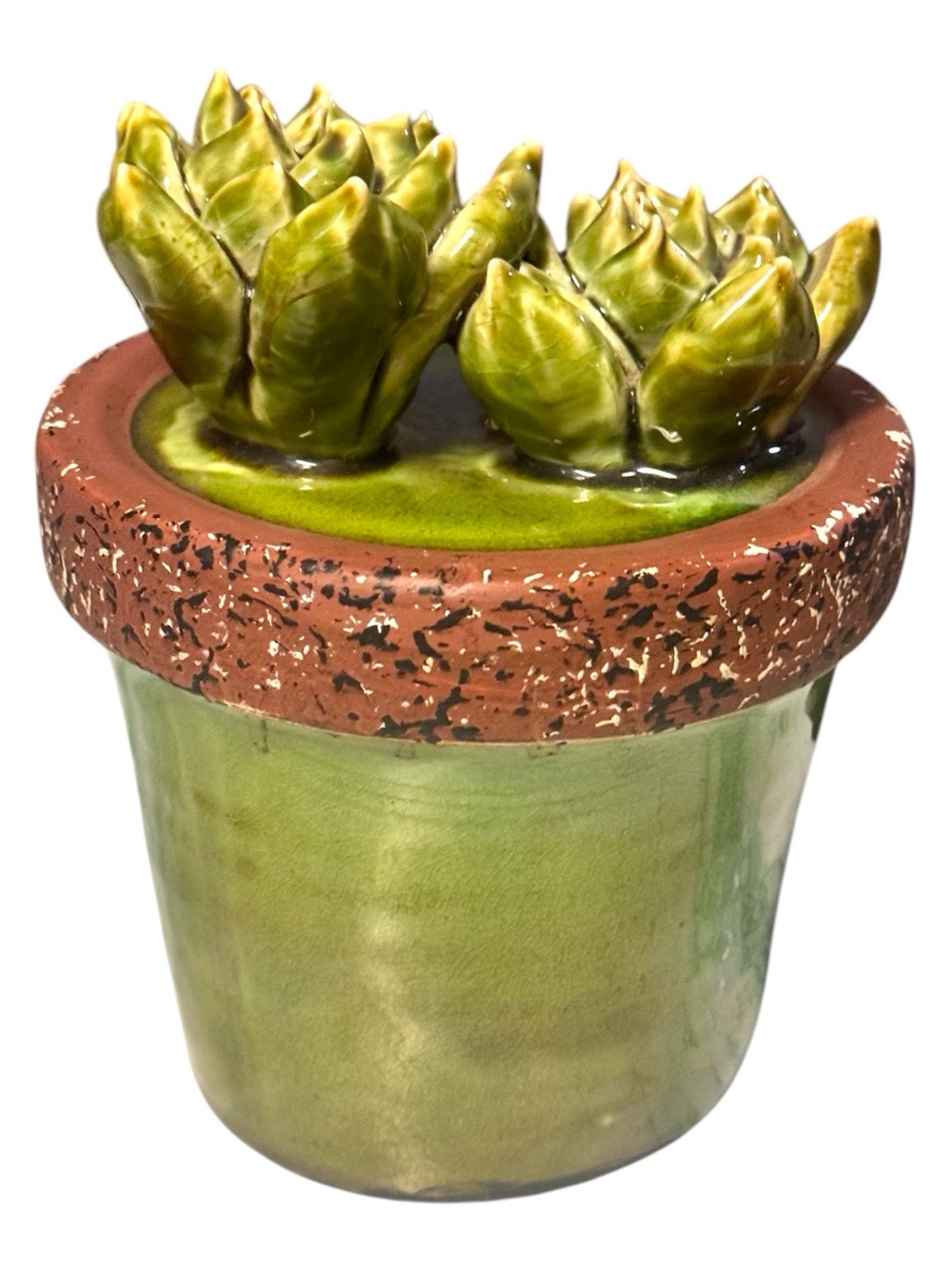 A & B Home 6.5” Succulent Rosettes Ceramic Plant Pot Decoration Garden